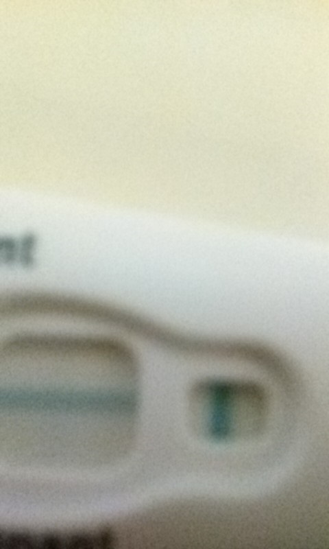 Home Pregnancy Test