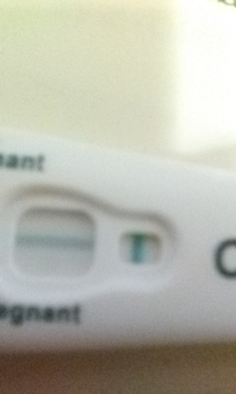 Clearblue Plus Pregnancy Test