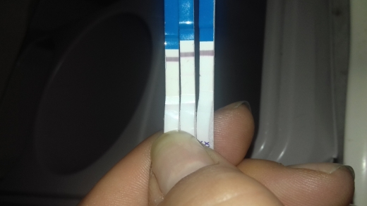 Home Pregnancy Test