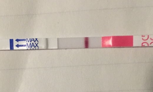 Generic Pregnancy Test, 9 Days Post Ovulation