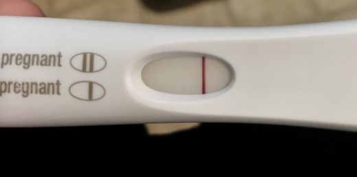 Home Pregnancy Test