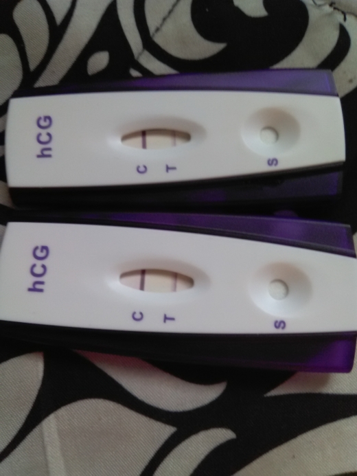 First Signal One Step Pregnancy Test