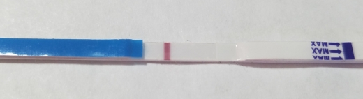 Generic Pregnancy Test, 9 Days Post Ovulation, FMU