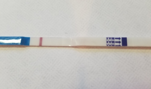 Generic Pregnancy Test, 10 Days Post Ovulation, FMU