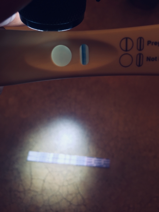 Generic Pregnancy Test, 12 Days Post Ovulation, Cycle Day 26