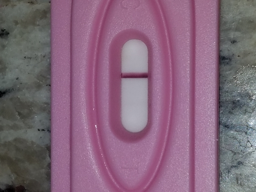 Home Pregnancy Test