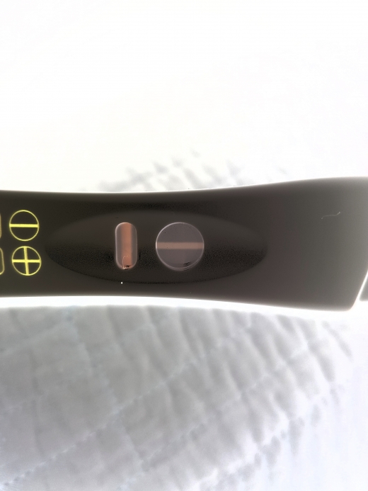 Home Pregnancy Test