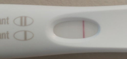 First Response Rapid Pregnancy Test, FMU