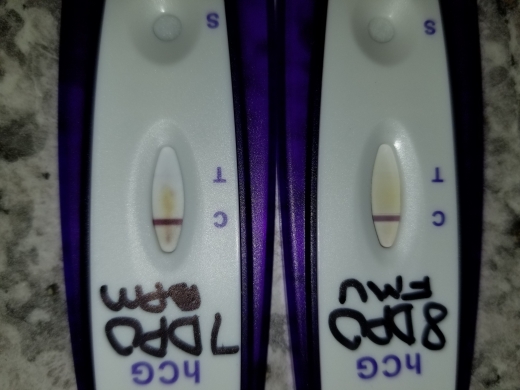 Equate One Step Pregnancy Test, 8 Days Post Ovulation, FMU, Cycle Day 18