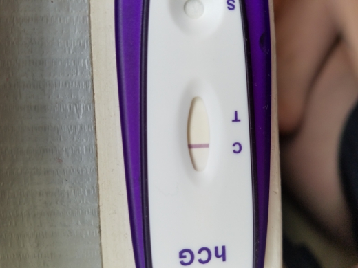 Home Pregnancy Test