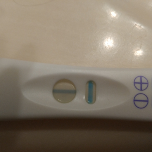 Equate One Step Pregnancy Test, 10 Days Post Ovulation, FMU, Cycle Day 24