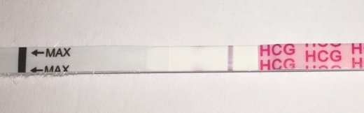 Wondfo Test Strips Pregnancy Test, 8 Days Post Ovulation, FMU, Cycle Day 20