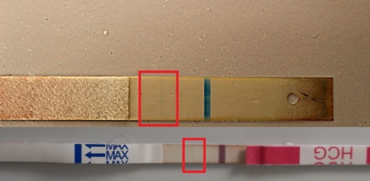 New Choice Pregnancy Test, 6 Days Post Ovulation
