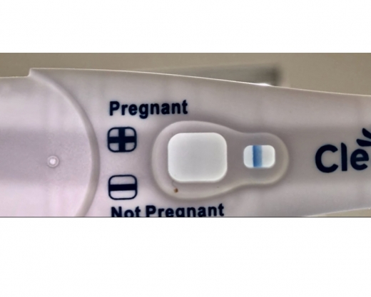 Home Pregnancy Test