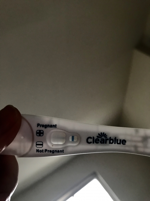 Home Pregnancy Test