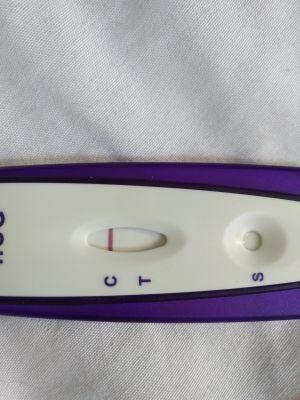 Home Pregnancy Test