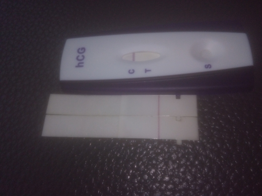 Home Pregnancy Test