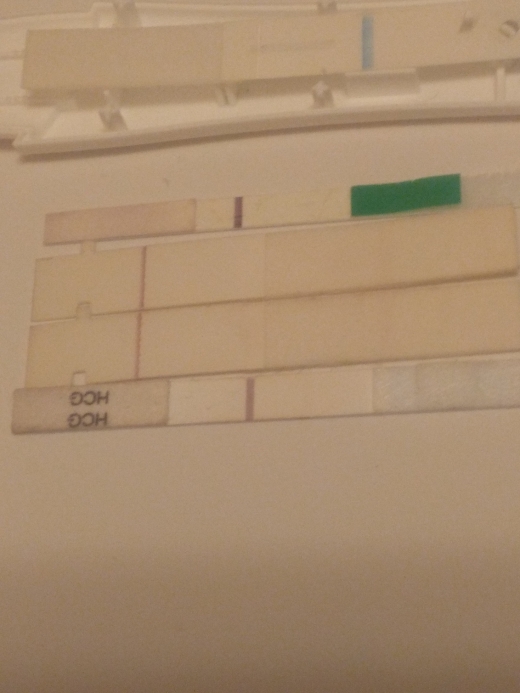 Home Pregnancy Test, 16 Days Post Ovulation