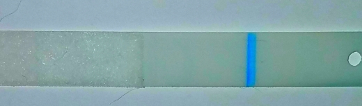 Clearblue Plus Pregnancy Test, 10 Days Post Ovulation, FMU, Cycle Day 25