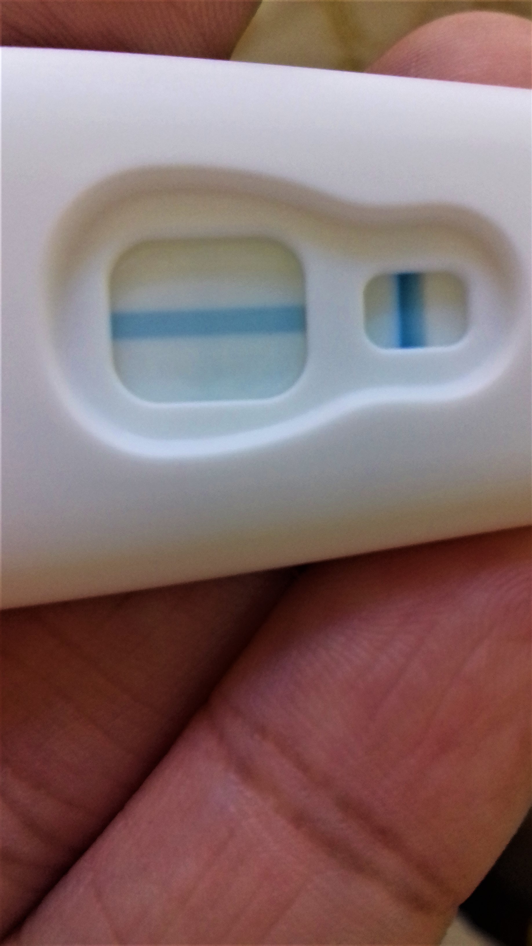 Clearblue Plus Pregnancy Test, 9 Days Post Ovulation