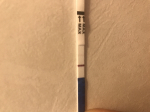Answer Pregnancy Test, 12 Days Post Ovulation, FMU, Cycle Day 28