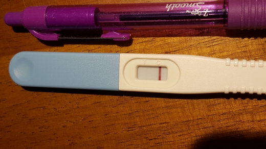 Home Pregnancy Test