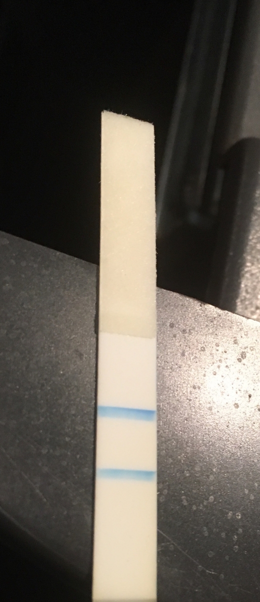 Home Pregnancy Test, FMU