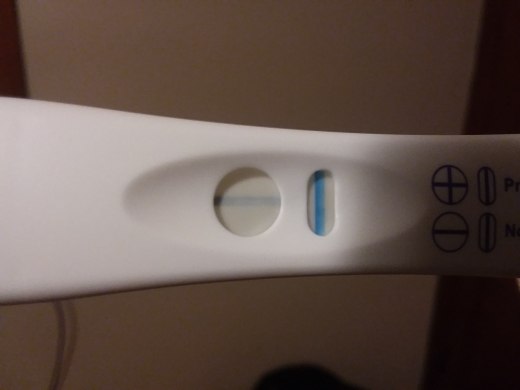 Home Pregnancy Test