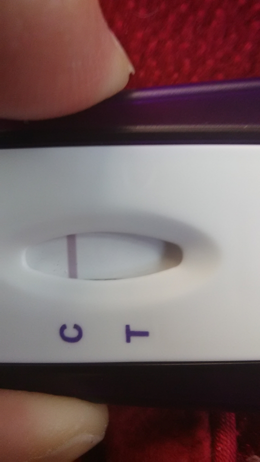 Home Pregnancy Test