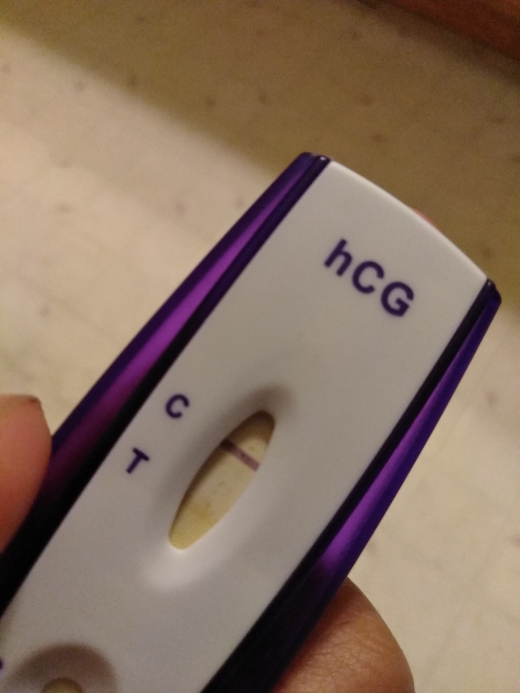 Home Pregnancy Test