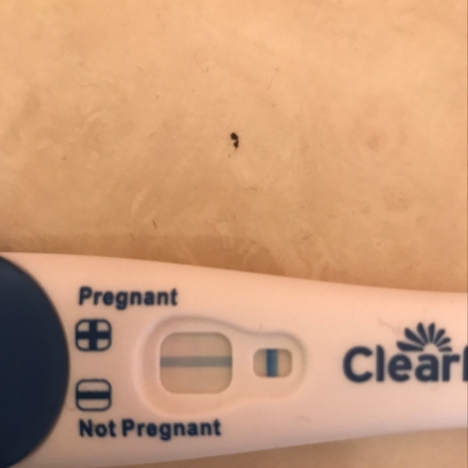 Home Pregnancy Test