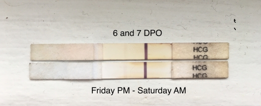 First Signal One Step Pregnancy Test, 6 Days Post Ovulation, FMU