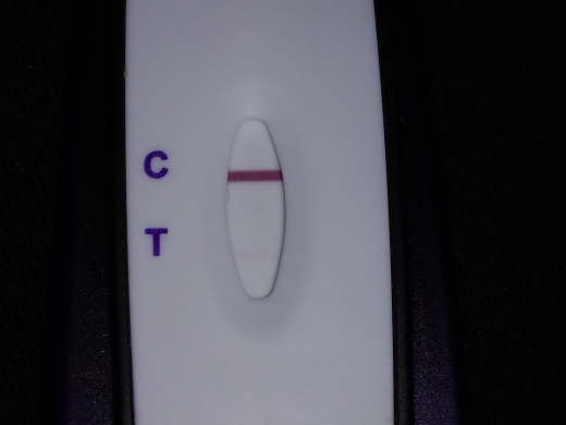 First Signal One Step Pregnancy Test, Cycle Day 29