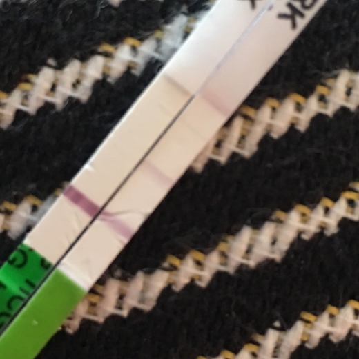 Home Pregnancy Test, Cycle Day 27