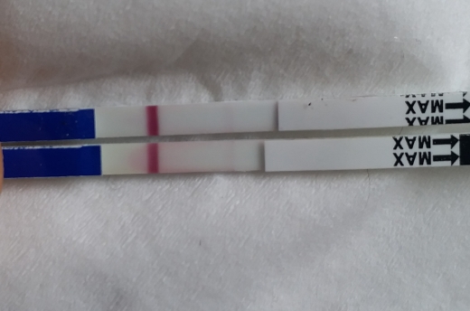 Home Pregnancy Test, 15 Days Post Ovulation, FMU, Cycle Day 31