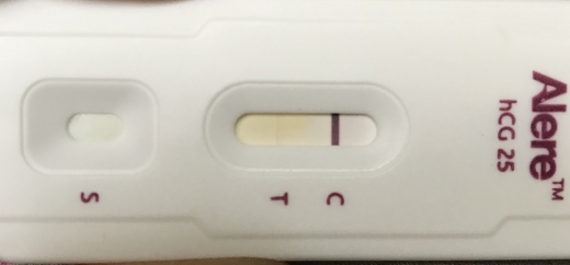 Generic Pregnancy Test, FMU