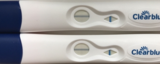 Clearblue Plus Pregnancy Test