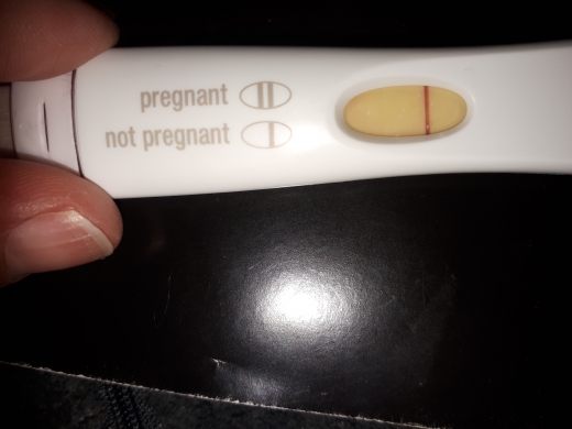 Home Pregnancy Test