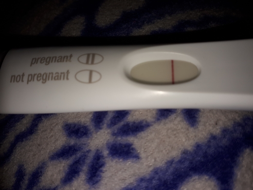 Home Pregnancy Test