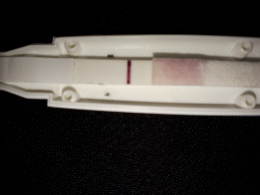 Home Pregnancy Test
