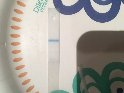 Walgreens One Step Pregnancy Test, 6 Days Post Ovulation