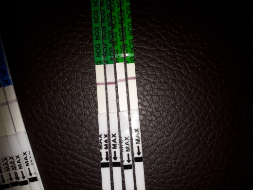 Home Pregnancy Test