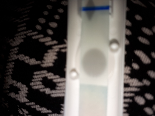 Home Pregnancy Test, 10 Days Post Ovulation, FMU