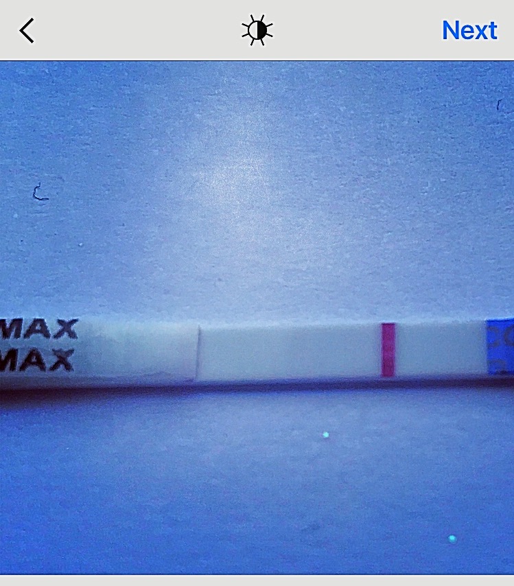 Home Pregnancy Test