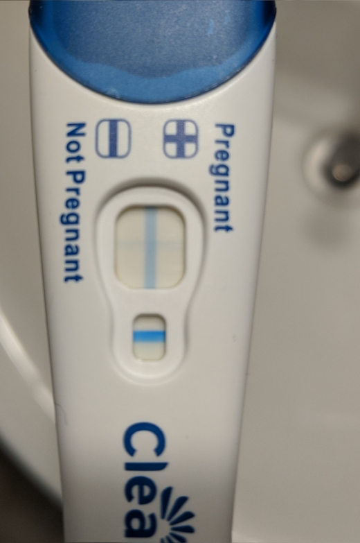 Clearblue Plus Pregnancy Test, 12 Days Post Ovulation, FMU