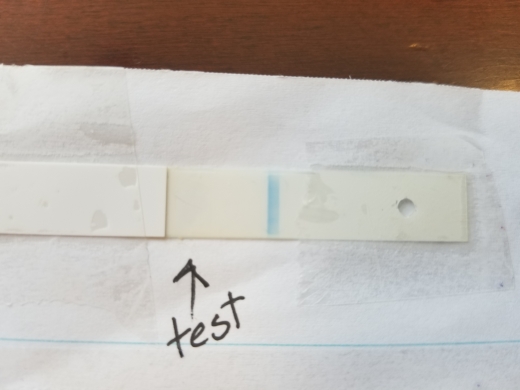 Equate One Step Pregnancy Test, 7 Days Post Ovulation, Cycle Day 21