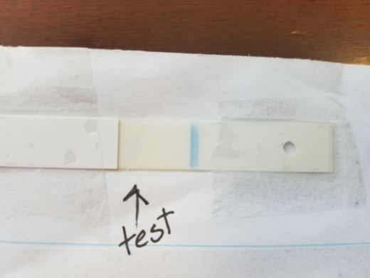 Equate Pregnancy Test, 7 Days Post Ovulation, Cycle Day 21