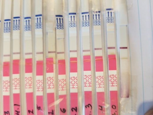 New Choice Pregnancy Test, 7 Days Post Ovulation, Cycle Day 21