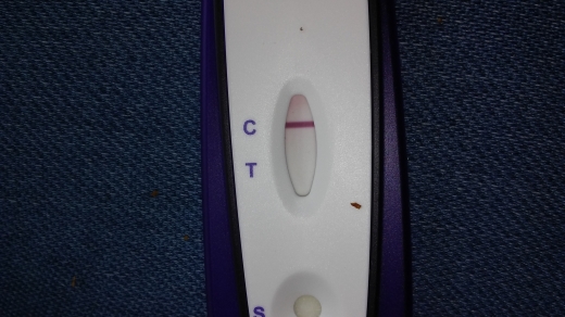 Home Pregnancy Test