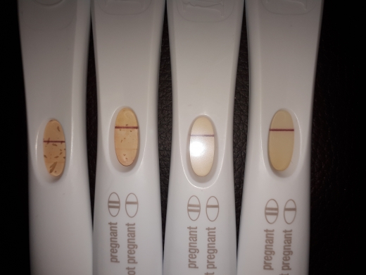 First Response Rapid Pregnancy Test